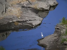 Френска медия: България е опасно близо до трайна водна криза