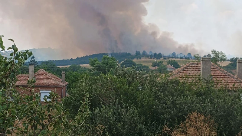 Голям пожар пламна в Ямболско, 200 човека са евакуирани
