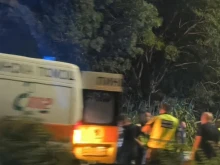 Тежка катастрофа в Плевенско взе жертва тази нощ