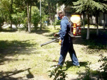 Ето къде се обработва срещу вредители във Варна