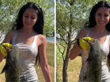 ���������� ����� ��������� ���������