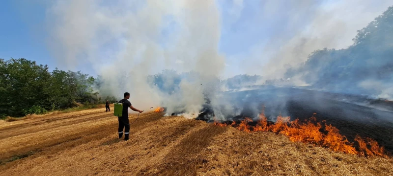 Пожар изпепели 3 тона зърно в павликенско село, изгорели са и 5 птици