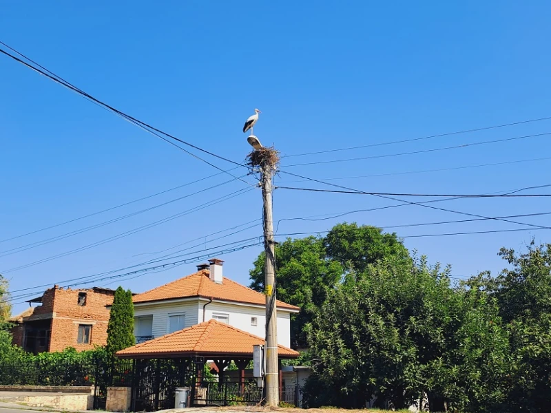 Необичайна спасителна акция в кюстендилско село