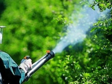 Прегледаха феромоновите капани във Варна и веднага предприеха действия