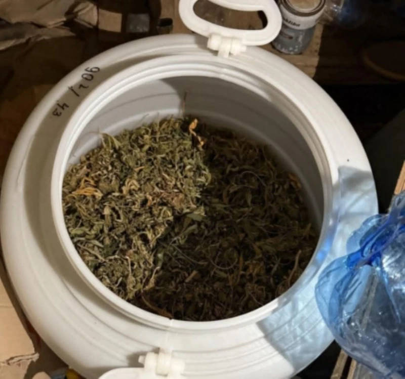 ��� 10 �� ������� � ����� � ��������� �� ������ ��� ����� � �����
