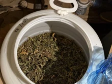 ��� 10 �� ������� � ����� � ��������� �� ������ ��� ����� � �����