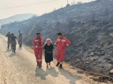 Трима души са ранени при пожар в Албания, над 2000 са евакуирани