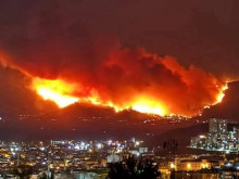 ��� 50 ���. ���������� � 13 �������� � ������ ������ ������������� ������