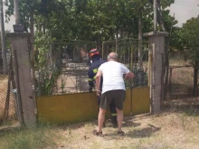 Евакуираха хора от две къщи край пожара в Кюстендил
