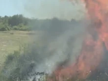 Пожар във Великотърновско затвори главния път София - Варна