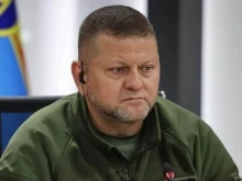 Залужни: Нашата победа може да е неизгодна за съюзниците