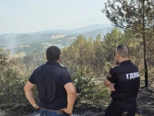 Спешно! Търсят много доброволци заради пожарите в Пловдивско