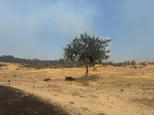 Пожарите, в общините Тополовград и Свиленград, са овладени