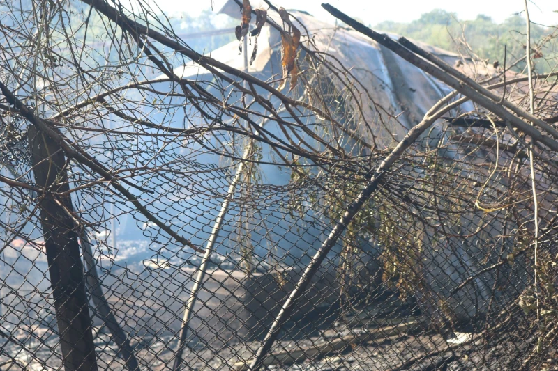 Овладени са пожарите в Русенско, три къщи в село Борисово бяха унищожени от огъня