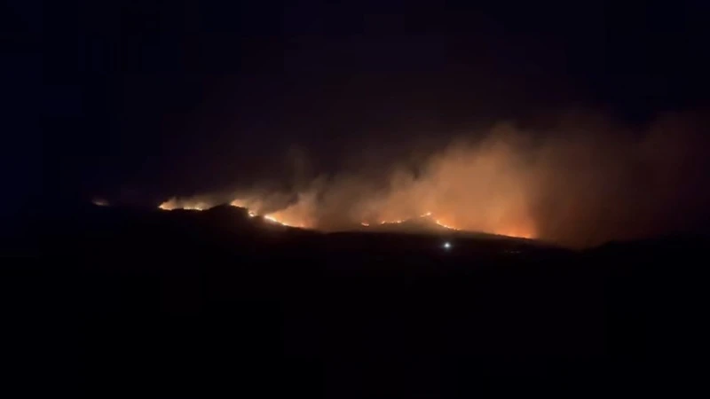 Огромният пожар в Пирин е на около 3 км от Илинденци?