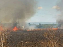 Сухи треви пламнаха край село Жиленци