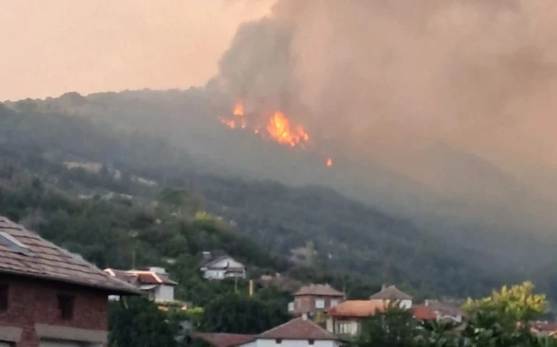 Поетапно ще допускат хора в село Плоски, за да нахранят животните си