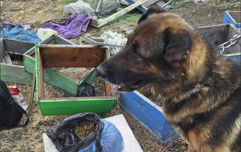 Полицията откри близо килограм марихуана в пчелин в карнобатско село