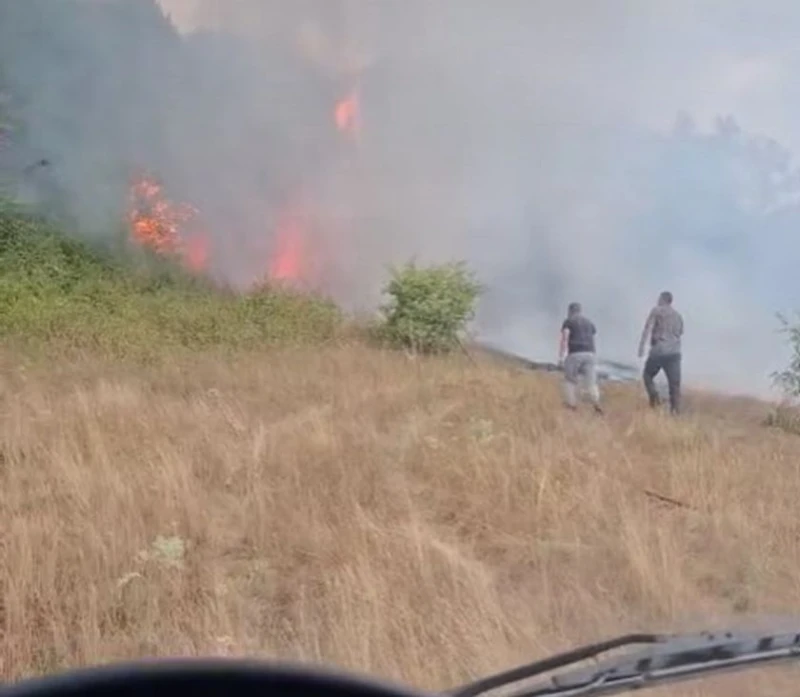 Пожарът в Трънско е потушен