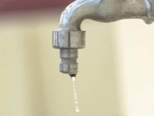  :   ,     ,    