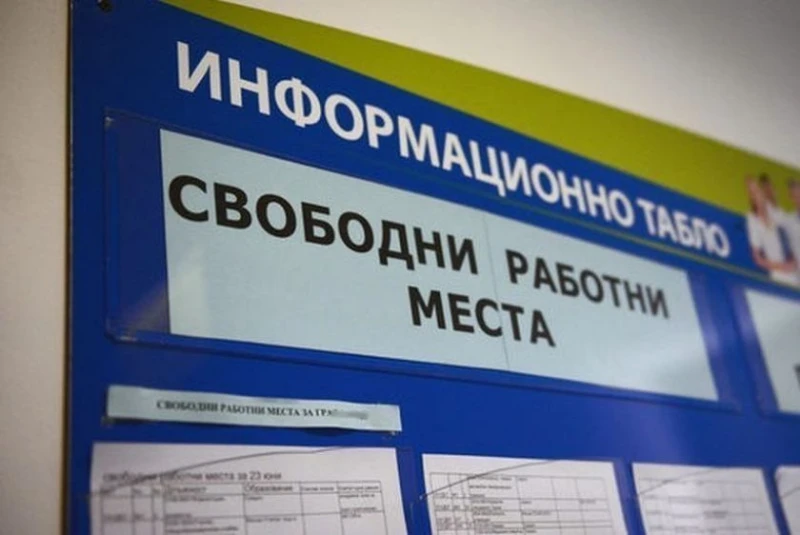 Спад на обявите за работа във всички сектори през юли в Пловдив