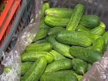 Бизнесдама: Гарантиране на печалба от 10% за производителите е безпрецедентно и ще окаже негативно въздействие