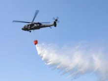        "Bambi Bucket"