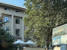Община Пловдив отговори за черния найлон до Дома на културата - садят сукуленти