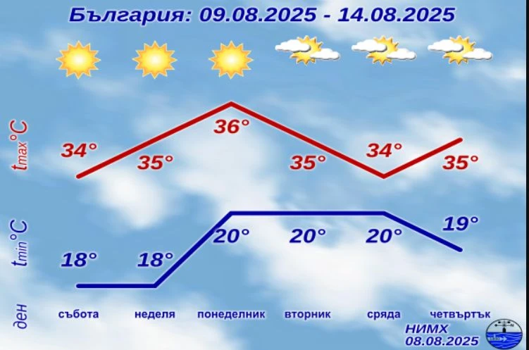 ����: ������� ������ ������