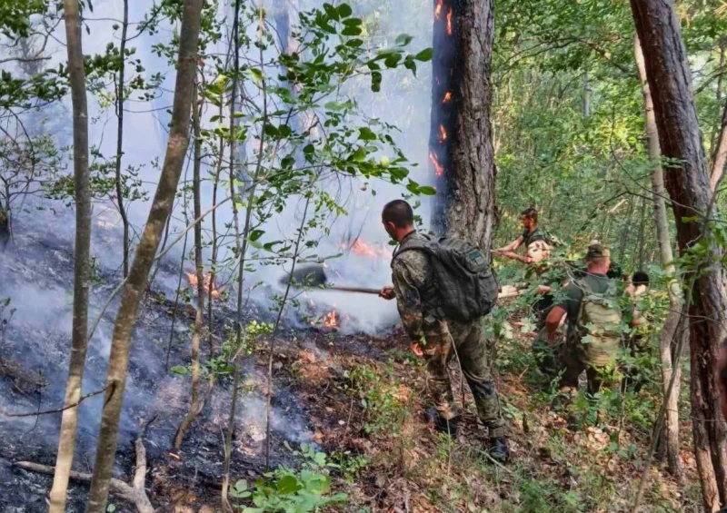 Военни гасят пожари по въздух и земя на няколко места в страната