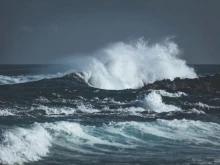 Правят аутопсия на кучето, хвърлено в морето, увито с въжета