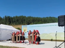 Кюстендил с достойно представяне на "Копривщица"