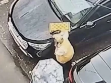 Руското ФСБ твърди, че Киев се е опитал да превърне петима пенсионери в "живи бомби"