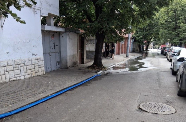 Глоби за гражданин, замърсил улично платно в Стара Загора и за собственик, пуснал кравата си на паша без надзор