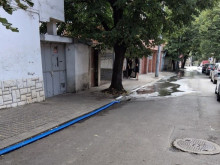 Глоби за гражданин, замърсил улично платно в Стара Загора и за собственик, пуснал кравата си на паша без надзор