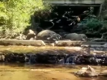 ������ �� ������ ������, �� ��� - ������ ��������� ���� ��������� � ����������� �������������