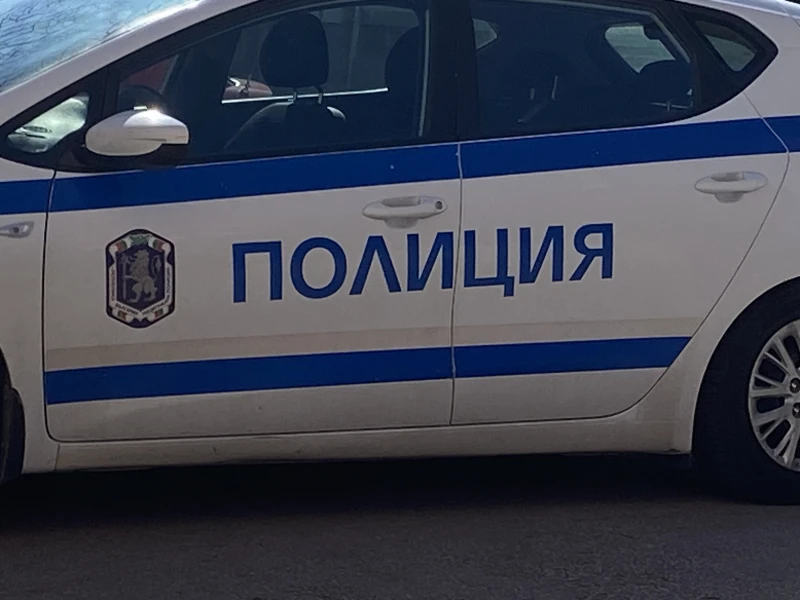 19-годишна пострада при катастрофата по пътя София-Варна