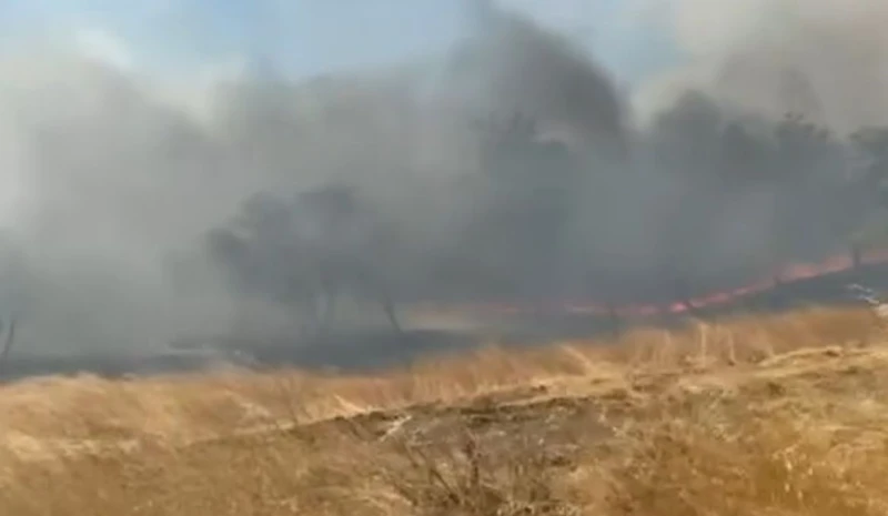 Детска игра с огън предизвика пожар в Селиминово