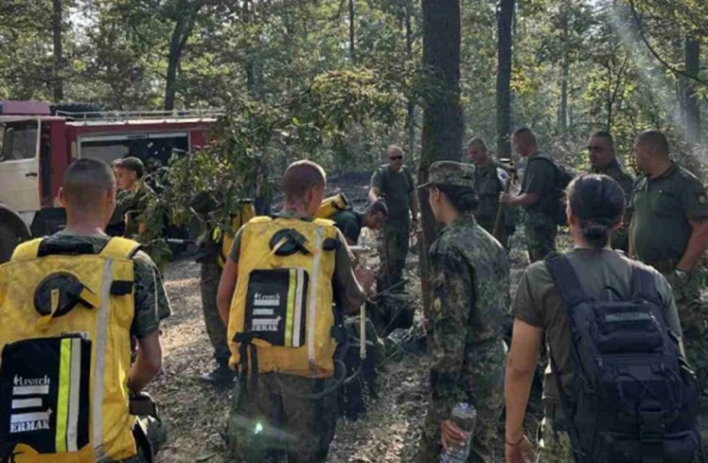 Гасенето на Пирин продължава, има нужда от още доброволци