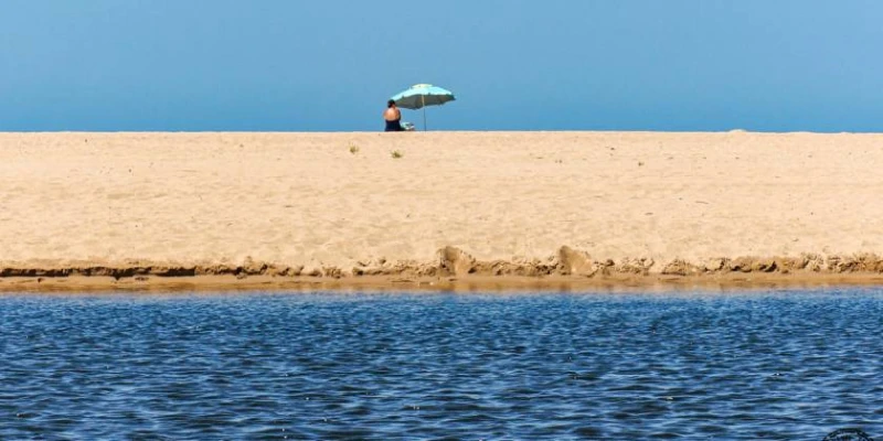 Европейските морета се затоплят. Експерти предупреждават за катастрофални последици