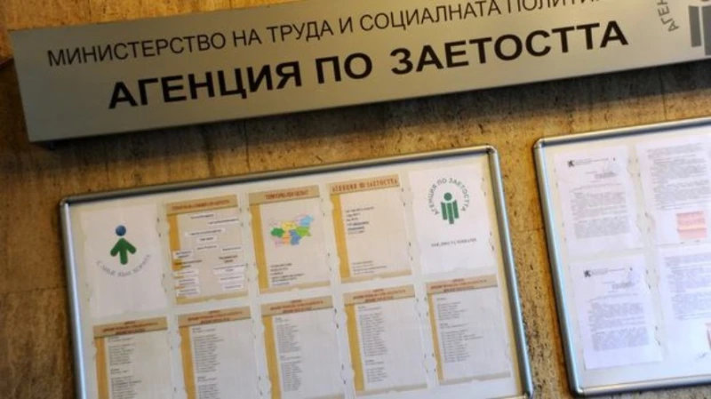 Най-високата заплата, която се предлага в бюрата по труда в България, е 13 000 лева
