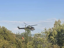 46 дка иглолистна гора е изгоряла при неделния пожар край Велико Търново