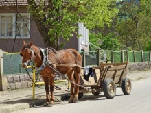 Мъж се напи, подкара каруца и самокатастрофира