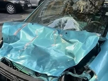 Стадо биволи предизвика поредна катастрофа в София, жена пострада при сблъсъка