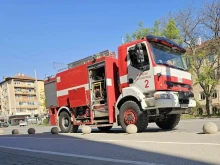 Пожар унищожи лозя край село Виногради