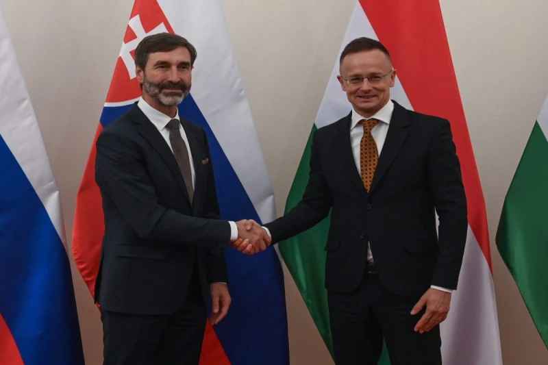 Унгария и Словакия призовават ЕК да принуди Украйна, да спре атаките срещу нефтопровода "Дружба"