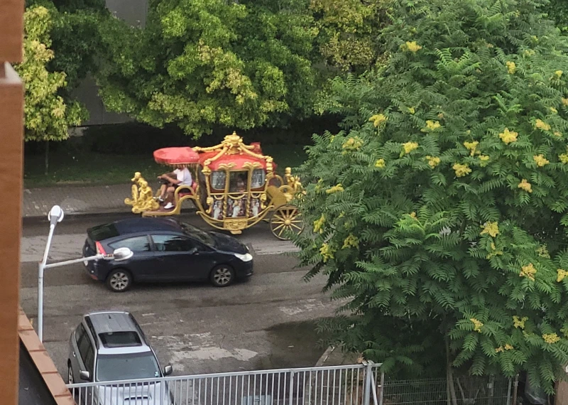 Само такова чудо не беше минавало по улиците на Пловдив, но и това се случи