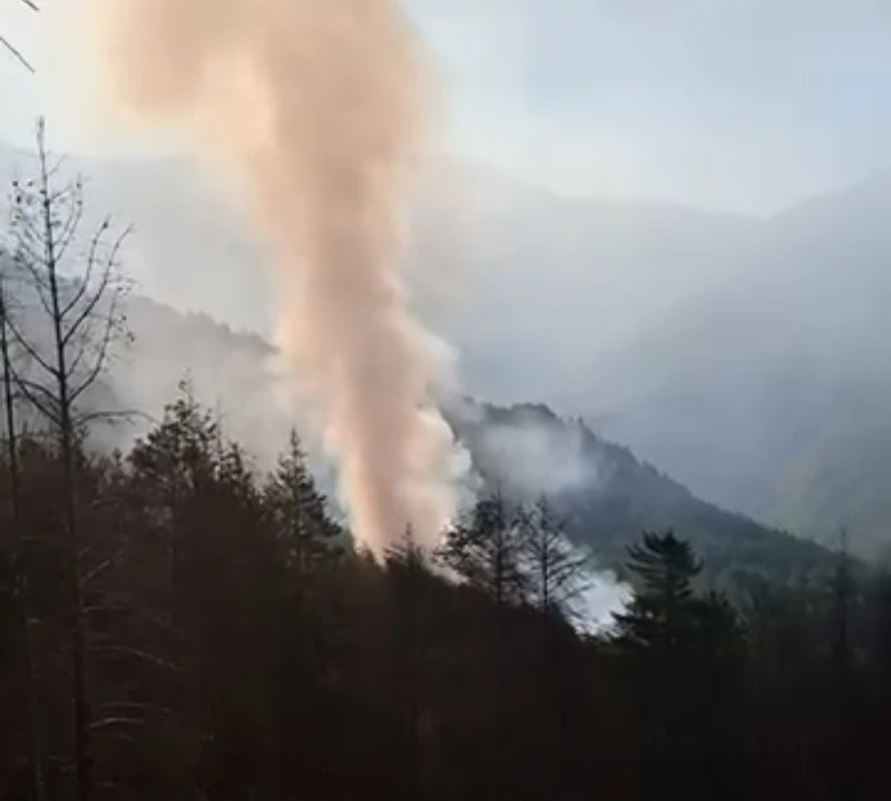 Голям пожар в борова гора над село Сенокос
