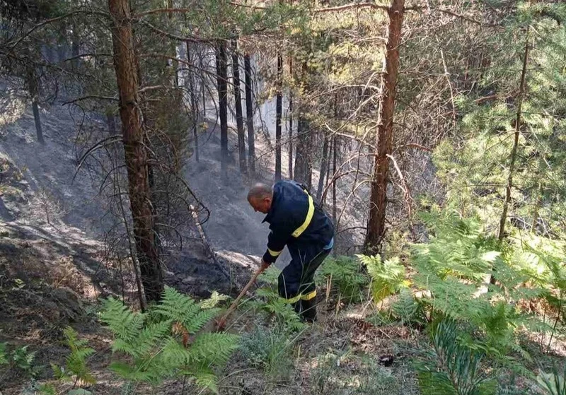 Локализиран е пожарът над Сенокос