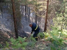 Локализиран е пожарът над Сенокос